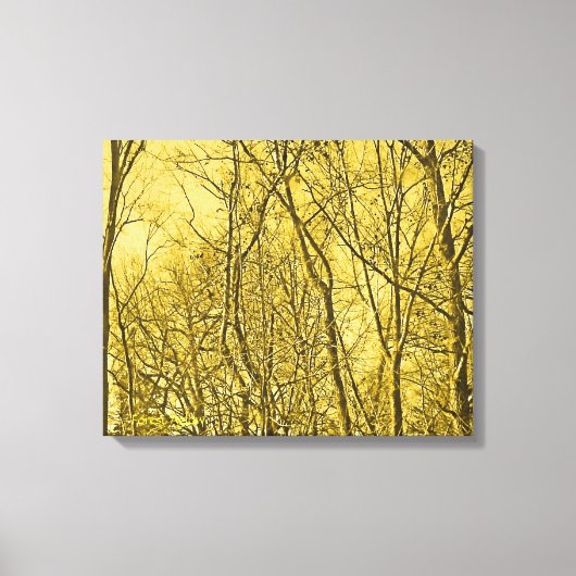 Forest Aglow Canvas Afdruk (Voorkant)