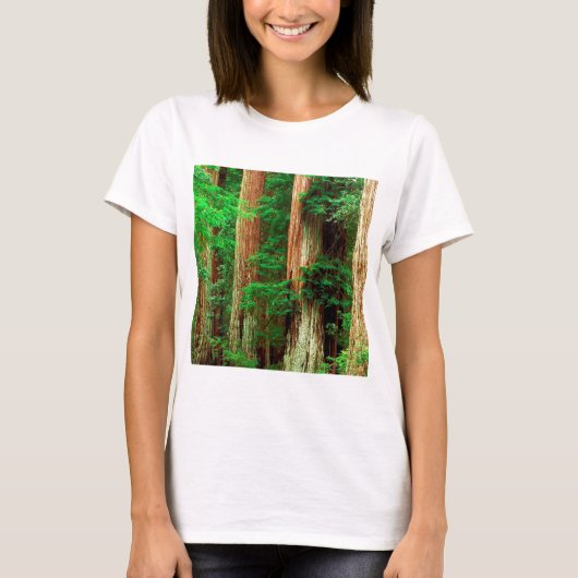 Forest Ancient Giants Big Basin Redwood Park T-shirt (Voorkant)