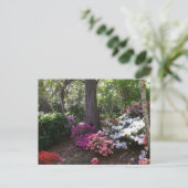 Forest and Flowers Postcard Briefkaart (Staand voorkant)