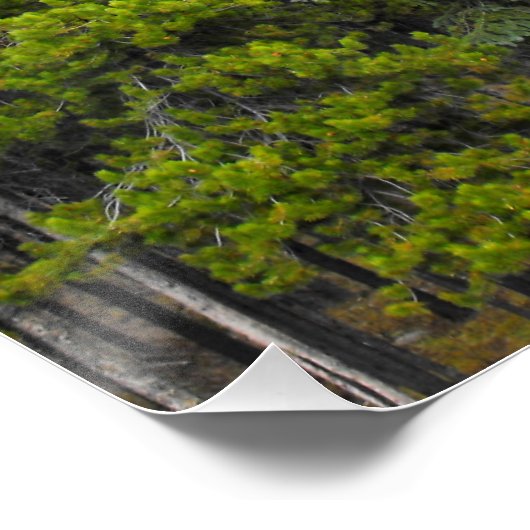 Forest and Mountain Scene Perfect Poster (Hoek)