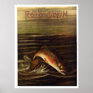 Forest and Stream 1919 Poster