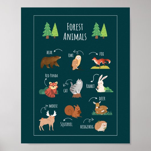 Forest Animals School Onderwijs Leren Poster (Voorkant)