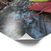 Forest Autumn Art Foto Afdruk (Hoek)