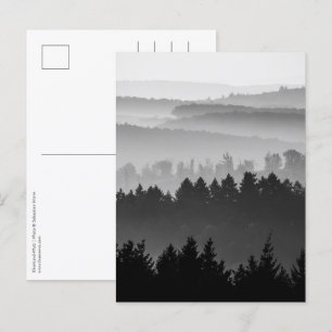Forest Black and White Landscape Foto Briefkaart