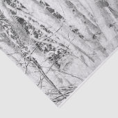 Forest Black en White Birch Trees Tissuepapier (Detail)