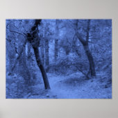 Forest Blues Poster (Voorkant)