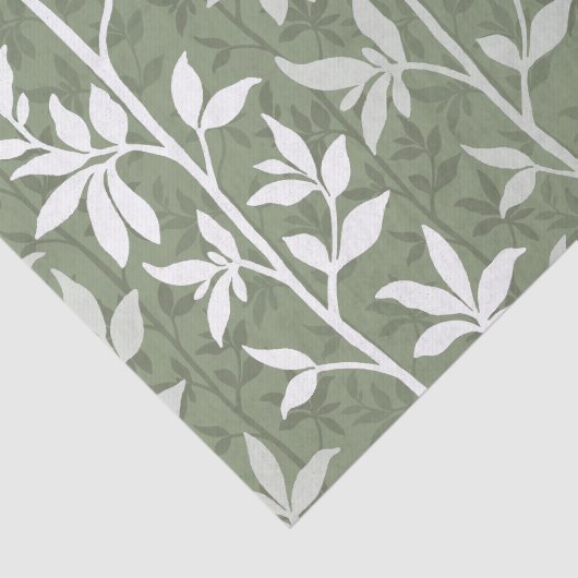 Forest Breeze Minimalist Botanical Silhouette Sage Tissuepapier (Detail)
