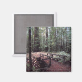 Forest Bridge- Humboldt Redwood State Park Magneet (Voorkant / Achterkant)