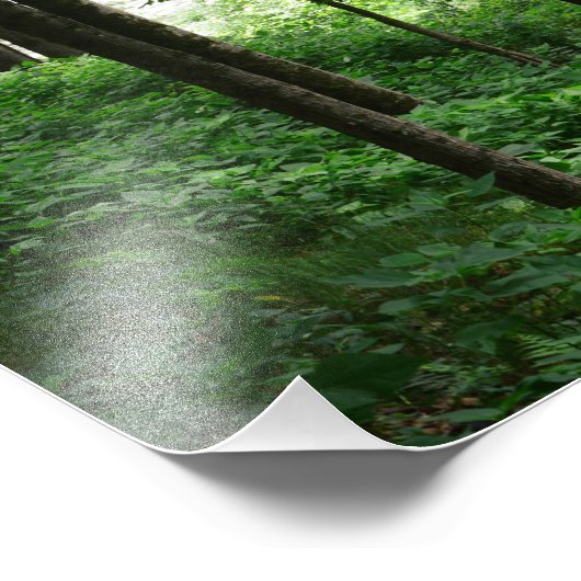 Forest Bridge Isaiah 26:3 Groene bladeren Foto Afdruk (Hoek)