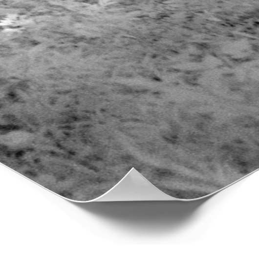 Forest Brook-infrarood Poster (Hoek)