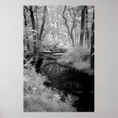 Forest Brook-infrarood Poster (Voorkant)