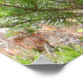 Forest Bull Elk Photo Natuur Wall Poster Mancave (Hoek)