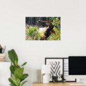 Forest Bull Elk Photo Natuur Wall Poster Mancave (Thuiskantoor)