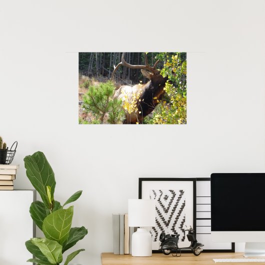 Forest Bull Elk Photo Natuur Wall Poster Mancave (Thuiskantoor)