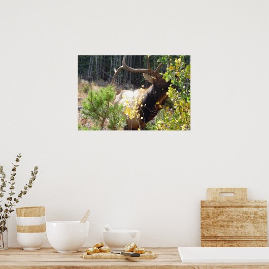 Forest Bull Elk Photo Natuur Wall Poster Mancave (Keuken)