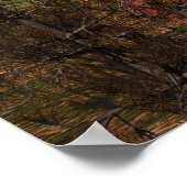 Forest Calm Poster (Hoek)