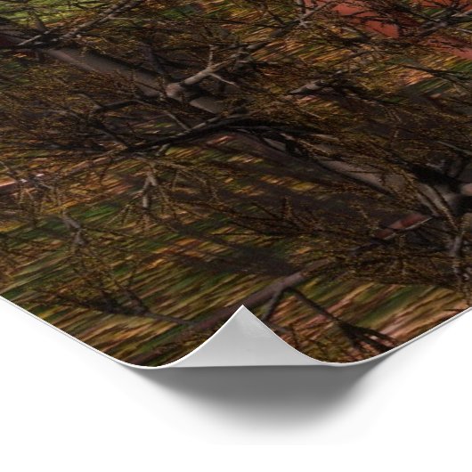 Forest Calm Poster (Hoek)