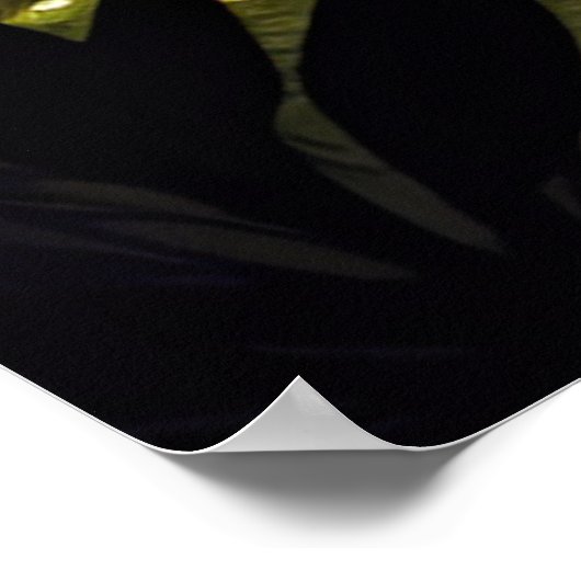 Forest Cascade, een charmante waterval Poster (Hoek)