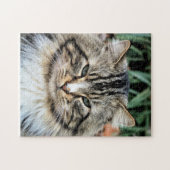 Forest Cat uitdagende foto Legpuzzel (Horizontaal)