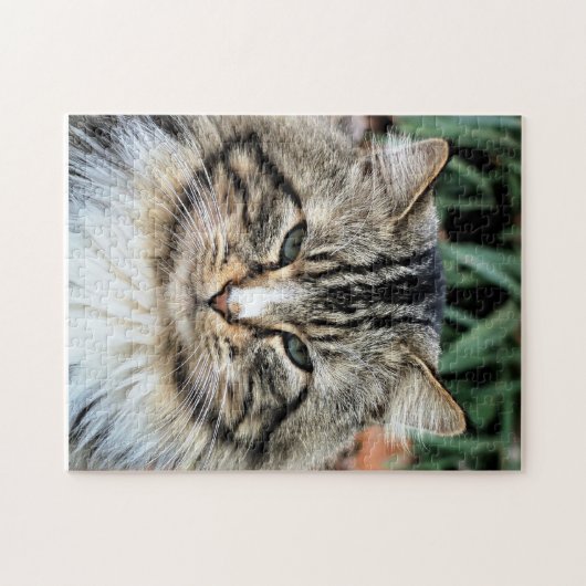 Forest Cat uitdagende foto Legpuzzel (Horizontaal)