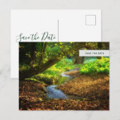 Forest Creek Beauful Natuur Foto Save the Date Uitnodiging Briefkaart (Voorkant / Achterkant)