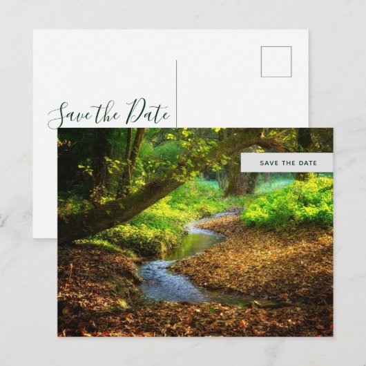 Forest Creek Beauful Natuur Foto Save the Date Uitnodiging Briefkaart (Voorkant / Achterkant)