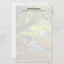 Forest Creek Beauful Natuur Landscape Foto