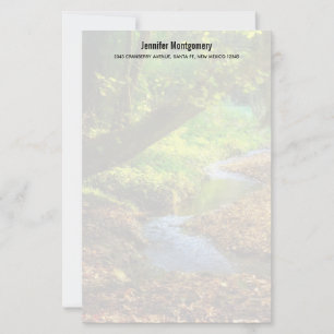 Forest Creek Beauful Natuur Landscape Foto