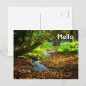 Forest Creek Beauful Natuur Landscape Foto Briefkaart (Voorkant / Achterkant)