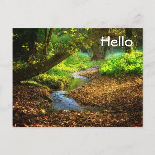 Forest Creek Beauful Natuur Landscape Foto Briefkaart (Voorkant)