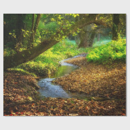 Forest Creek Beauful Natuur Landscape Foto Cadeaupapier