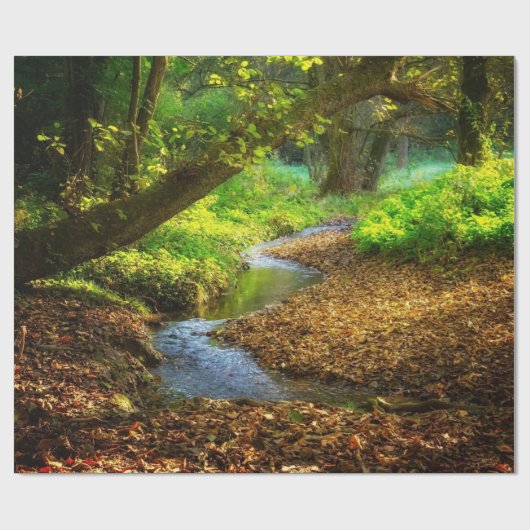 Forest Creek Beauful Natuur Landscape Foto Cadeaupapier (Vlak)