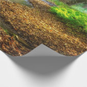 Forest Creek Beauful Natuur Landscape Foto Cadeaupapier (Hoek)