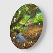 Forest Creek Beauful Natuur Landscape Foto Grote Klok (Hoek)