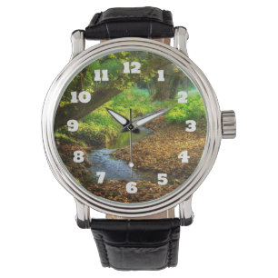 Forest Creek Beauful Natuur Landscape Foto Horloge