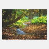 Forest Creek Beauful Natuur Landscape Foto Inpakpapier Vel (Voorkant)