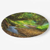 Forest Creek Beauful Natuur Landscape Foto Papieren Bordje (Gekanteld)