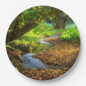 Forest Creek Beauful Natuur Landscape Foto Papieren Bordje (Voorkant)