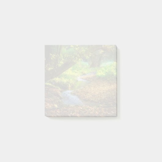 Forest Creek Beauful Natuur Landscape Foto Post-it® Notes (Voorkant)