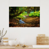 Forest Creek Beauful Natuur Landscape Foto Poster (Keuken)