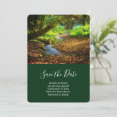 Forest Creek Beauful Natuur Landscape Foto Save The Date (Staand voorkant)
