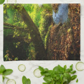 Forest Creek Beauful Natuur Landscape Foto Theedoek (Gevouwen)