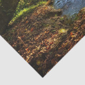 Forest Creek Beauful Natuur Landscape Foto Tissuepapier (Detail)