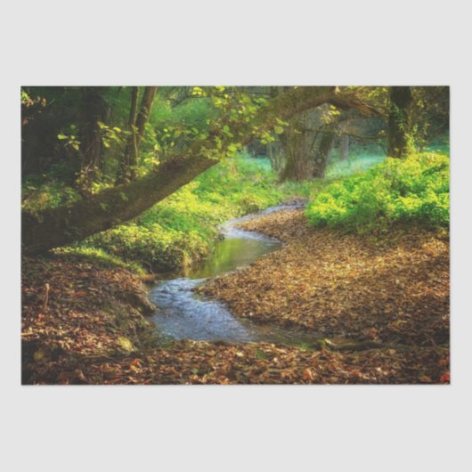 Forest Creek Beauful Natuur Landscape Foto Tissuepapier (Voorkant)