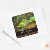 Forest Creek Beauful Natuur Landscape Foto Vierkante Sticker (Envelop)