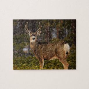 Forest Deer Buck Legpuzzel