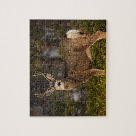 Forest Deer Buck Legpuzzel (Verticaal)