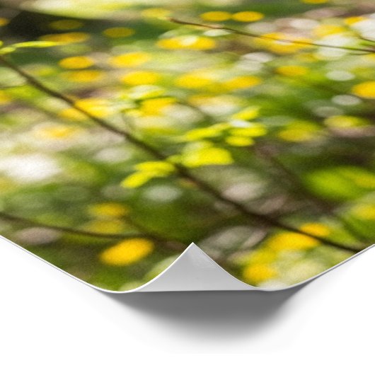 Forest Deer Poster (Hoek)