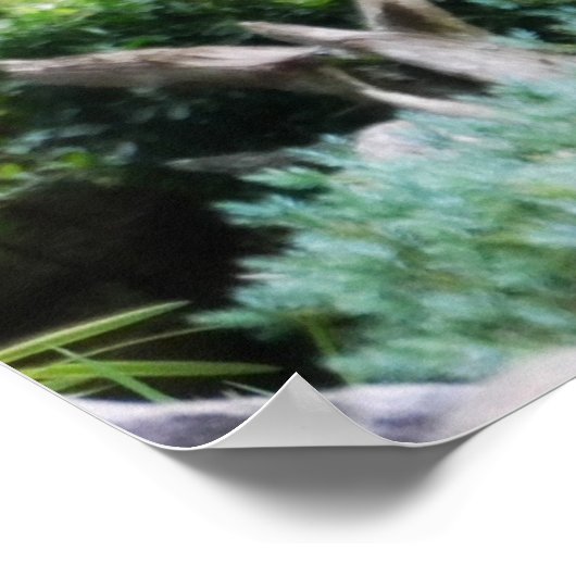 Forest Deer Poster (Hoek)