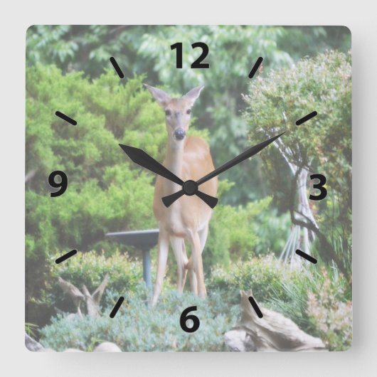 Forest Deer Vierkante Klok (Voorkant)